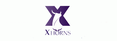 XHorns_安卓mt4下载